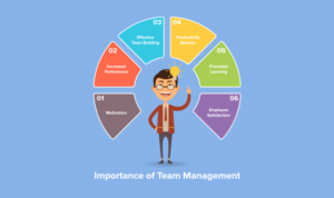 Team management skills